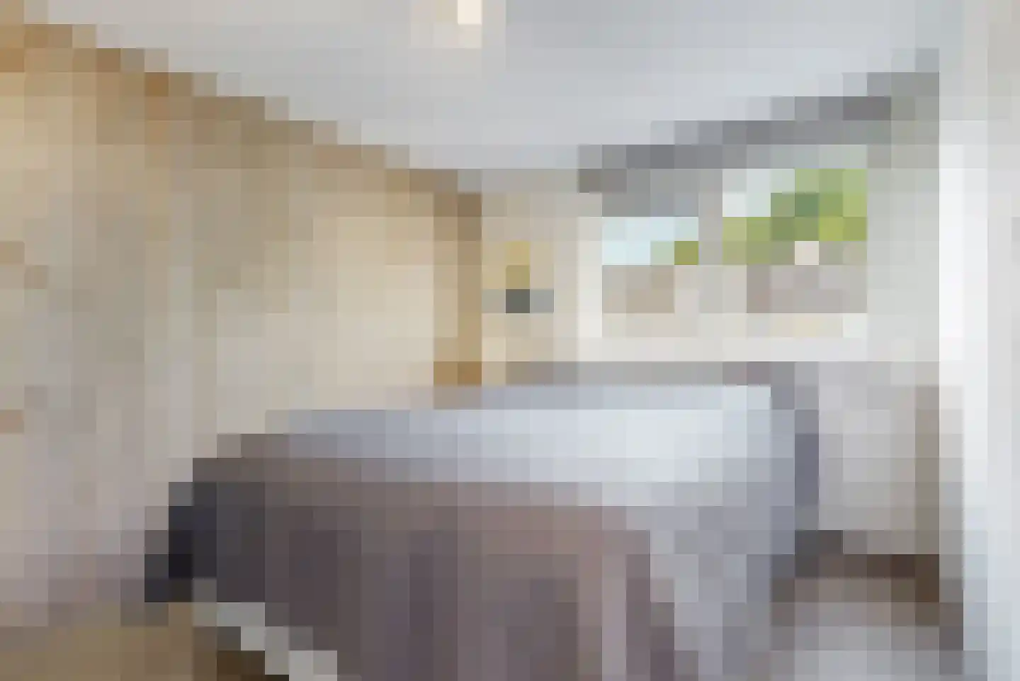 Scarlattilaantje 7 Aalsmeer thumbnail 34