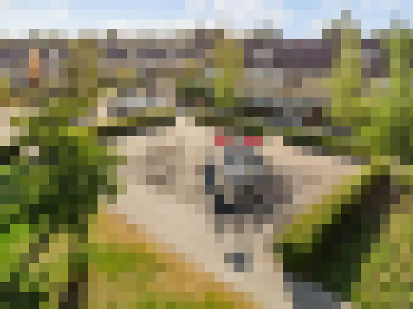 Scarlattilaantje 7 Aalsmeer thumbnail 42