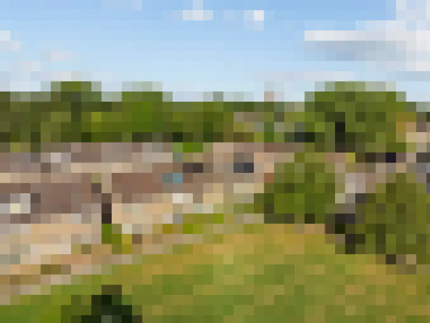 Scarlattilaantje 7 Aalsmeer thumbnail 43