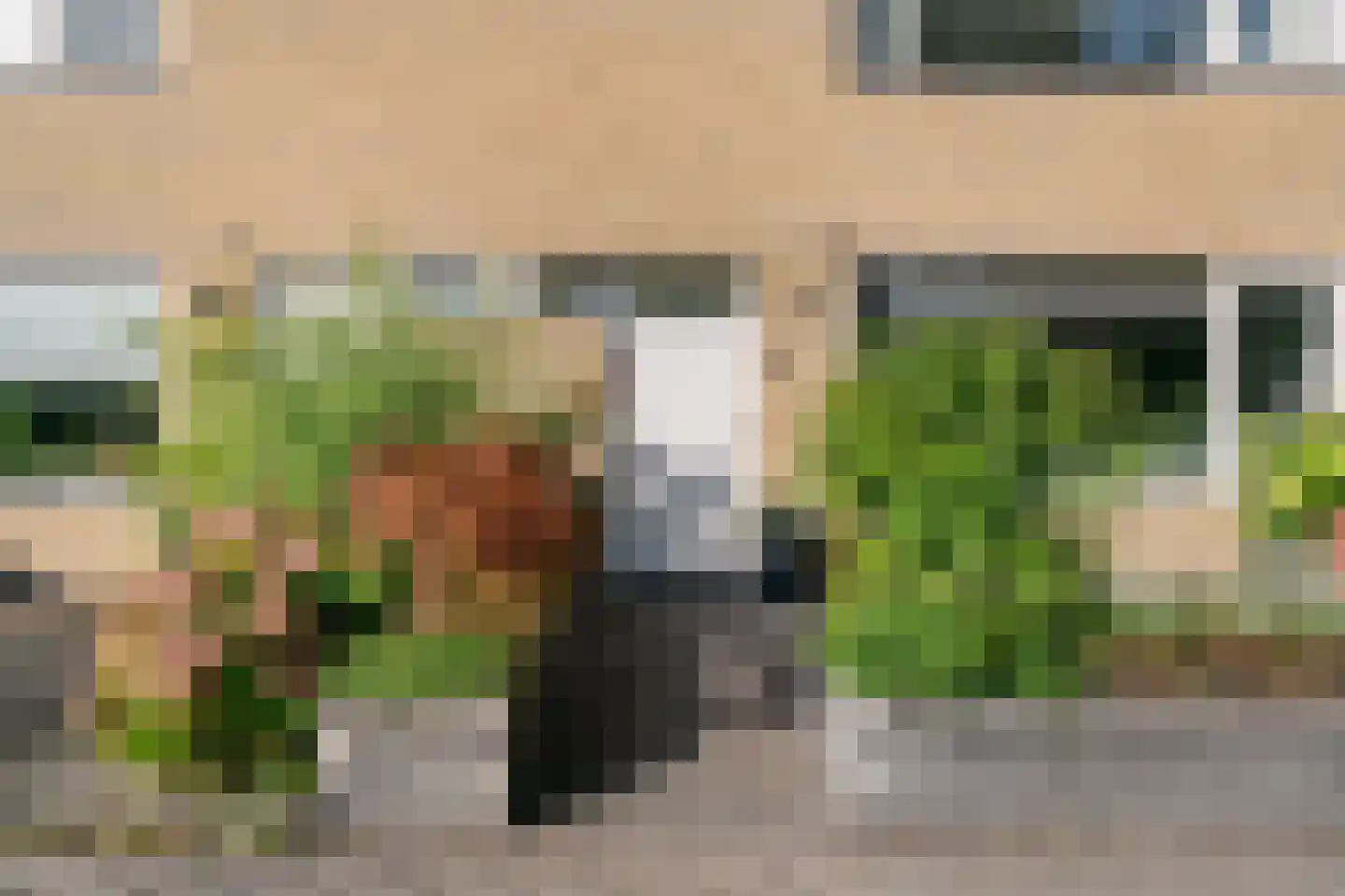 Scarlattilaantje 7 Aalsmeer thumbnail 5