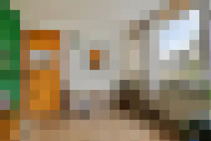 Scarlattistraat 11 Zwolle thumbnail 12