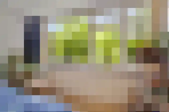 Scarlattistraat 11 Zwolle thumbnail 13