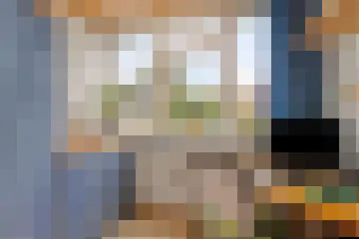 Scarlattistraat 11 Zwolle thumbnail 15