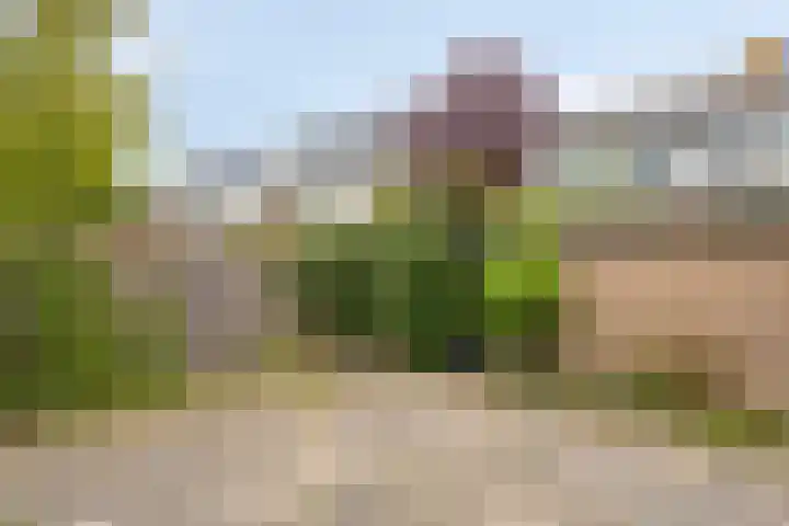 Scarlattistraat 11 Zwolle thumbnail 20