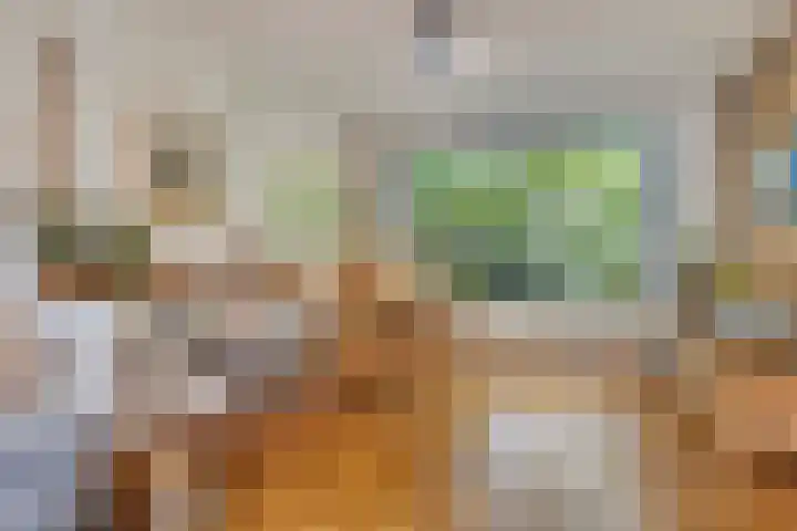 Scarlattistraat 11 Zwolle thumbnail 5