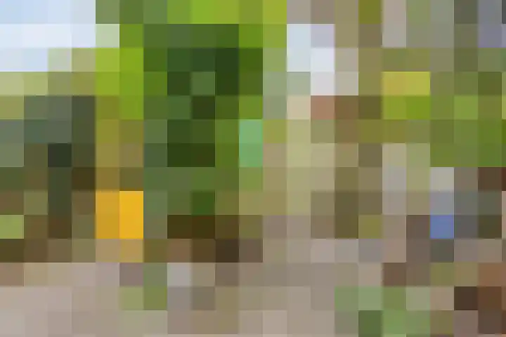 Scarlattistraat 11 Zwolle thumbnail 8