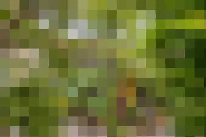 Scarlattistraat 11 Zwolle thumbnail 9