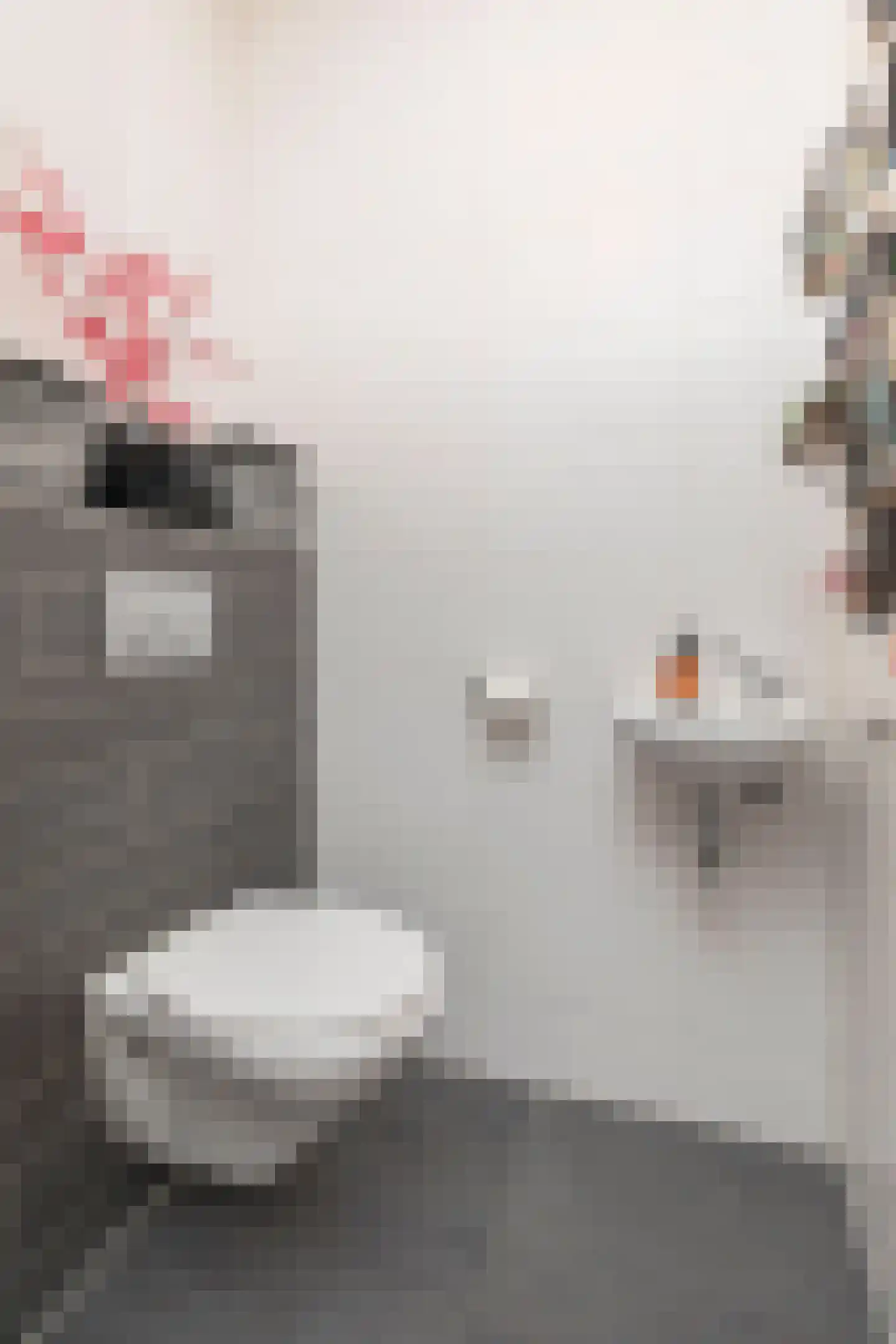 Scarlattistraat 4 Sliedrecht thumbnail 20