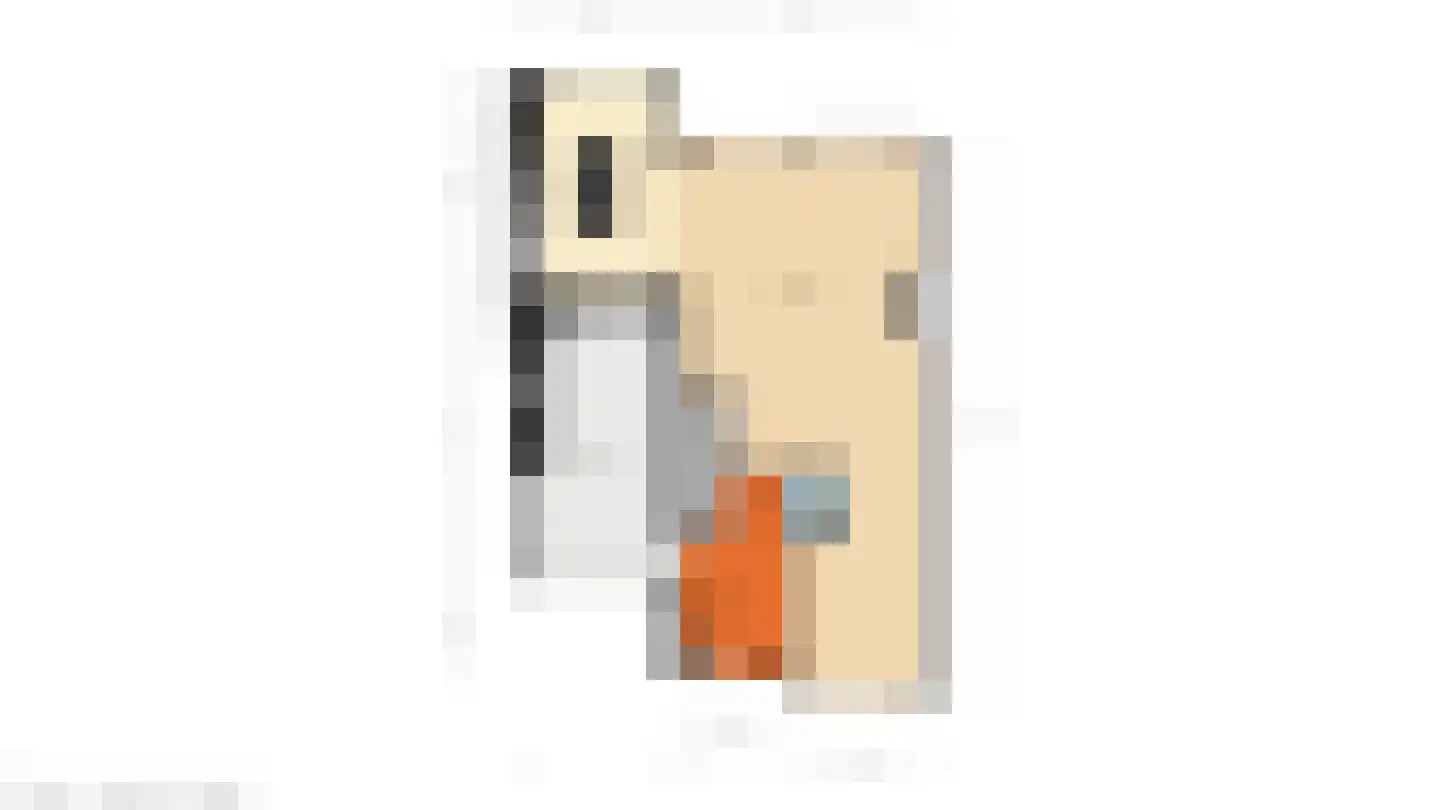 Scarlattistraat 4 Sliedrecht thumbnail 59
