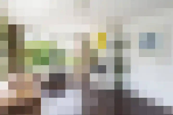 Scarlattistraat 44 Zwolle thumbnail 5