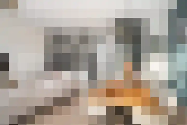 Scarlattistraat 6 Capelle aan den IJssel thumbnail 14