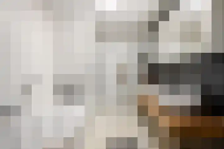 Scarlattistraat 6 Capelle aan den IJssel thumbnail 31