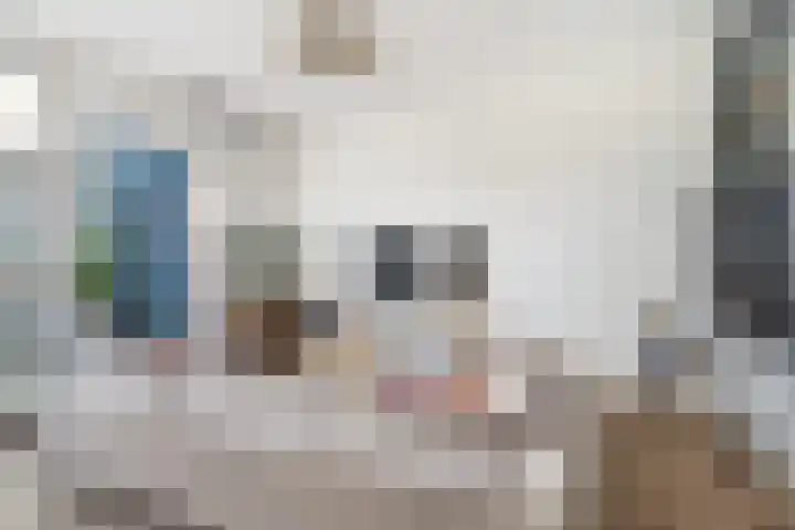 Scarlattistraat 6 Capelle aan den IJssel thumbnail 6
