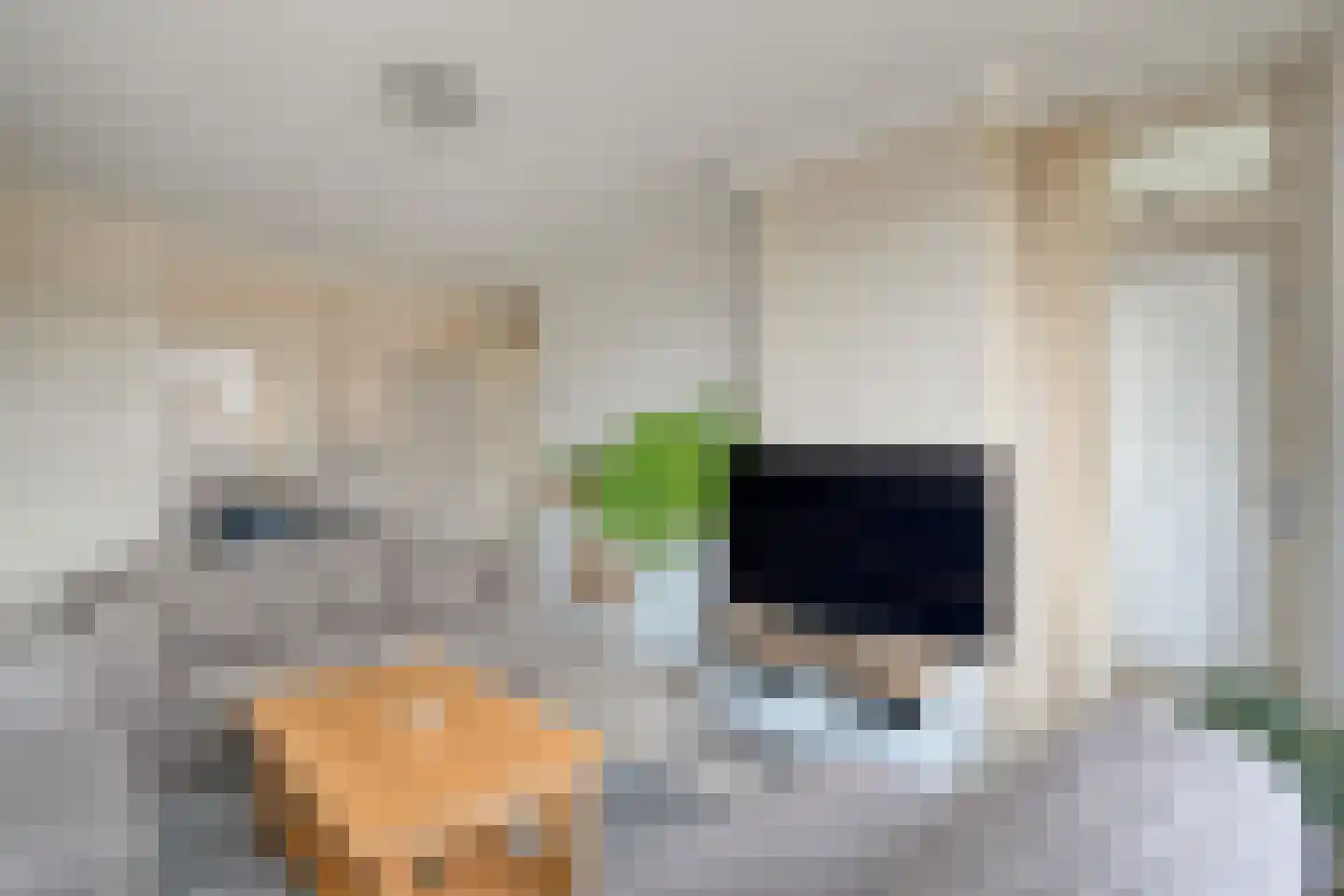 Scarlattistraat 62 Zwolle thumbnail 6