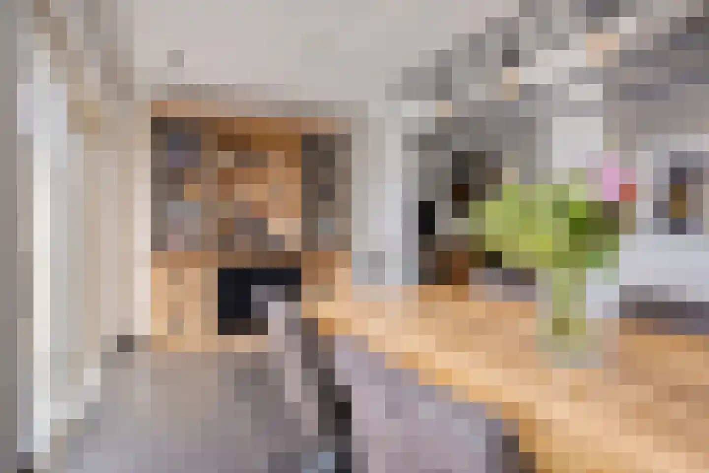 Scarlattistraat 72 Tilburg thumbnail 16