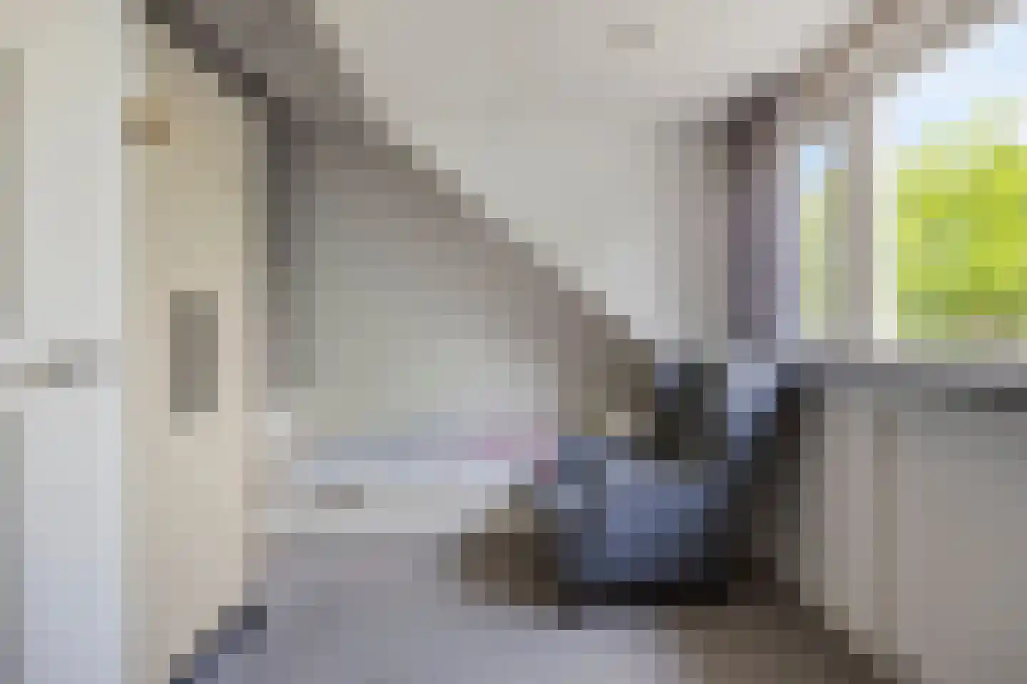 Scarlattistraat 72 Tilburg thumbnail 31