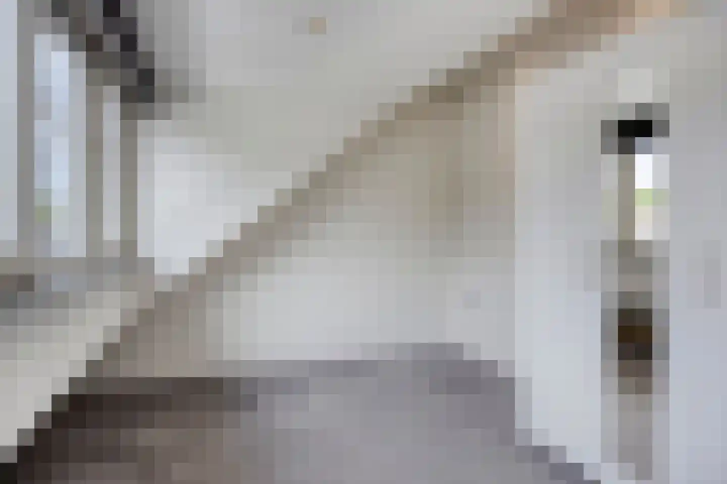Scarlattistraat 72 Tilburg thumbnail 33