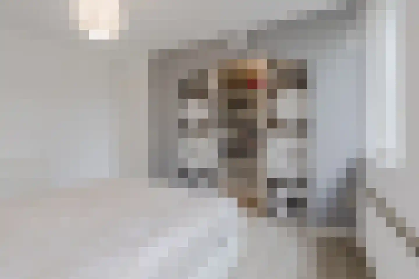 Scarlattistraat 78 Tilburg thumbnail 16
