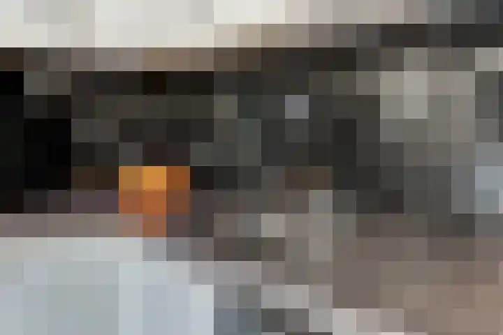 Scarlattistraat 80 a Tilburg thumbnail 16