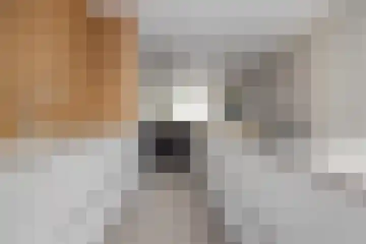 Scarlattistraat 9 Boxtel thumbnail 22