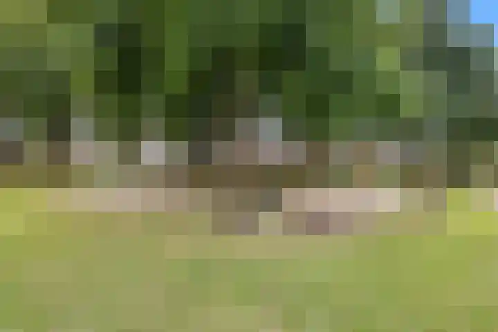 Scarlattistraat 9 Boxtel thumbnail 56