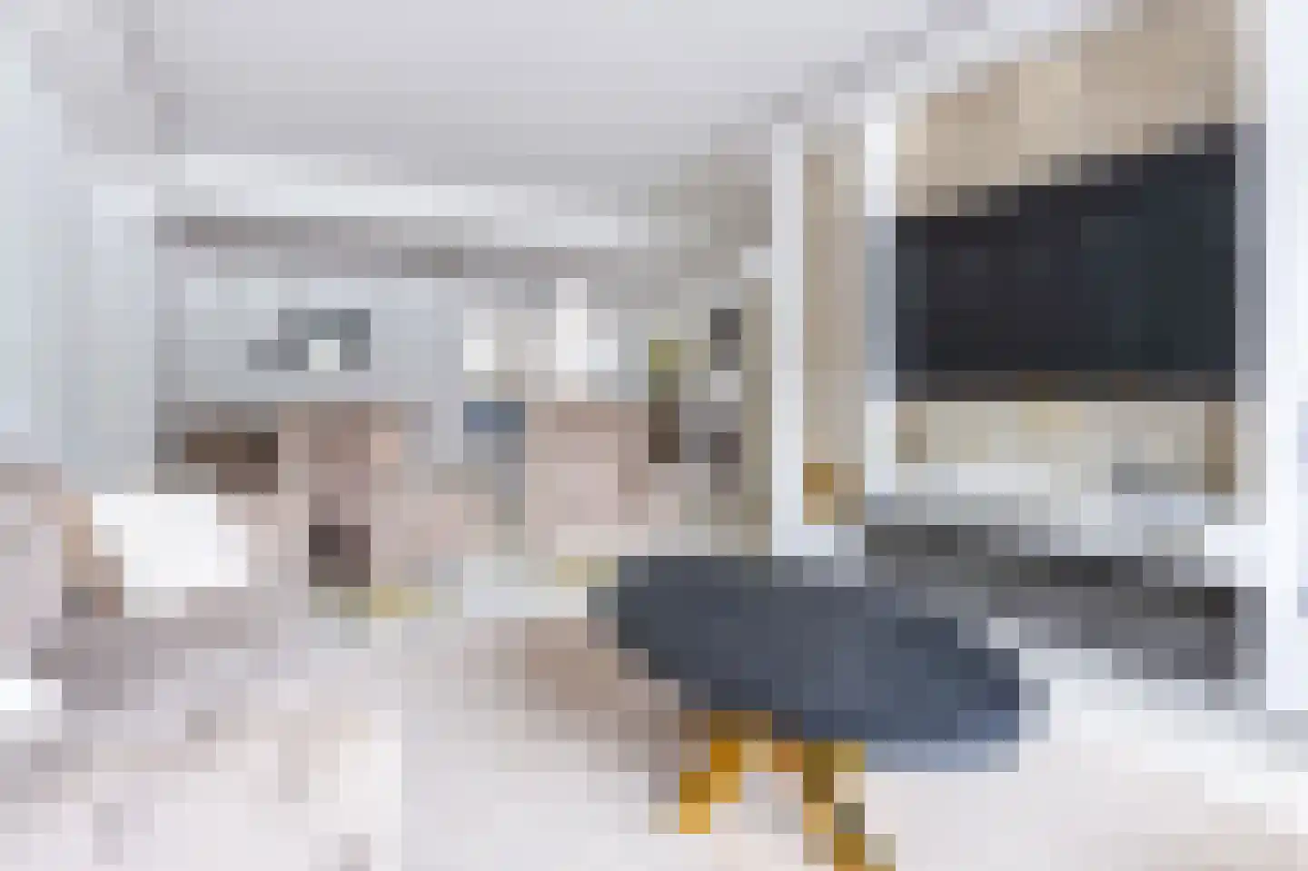 Scarlet Ducstraat 2 Andijk thumbnail 10