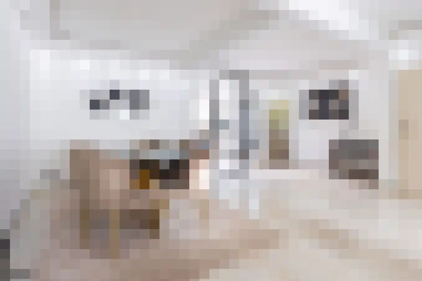 Scarlet Ducstraat 2 Andijk thumbnail 12