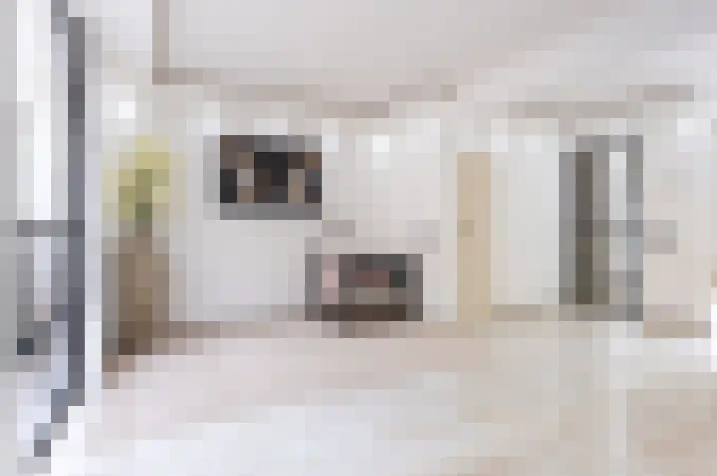 Scarlet Ducstraat 2 Andijk thumbnail 14