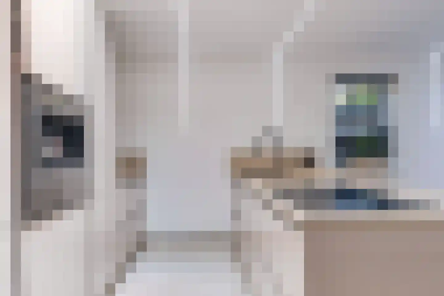 Scarlet Ducstraat 2 Andijk thumbnail 20