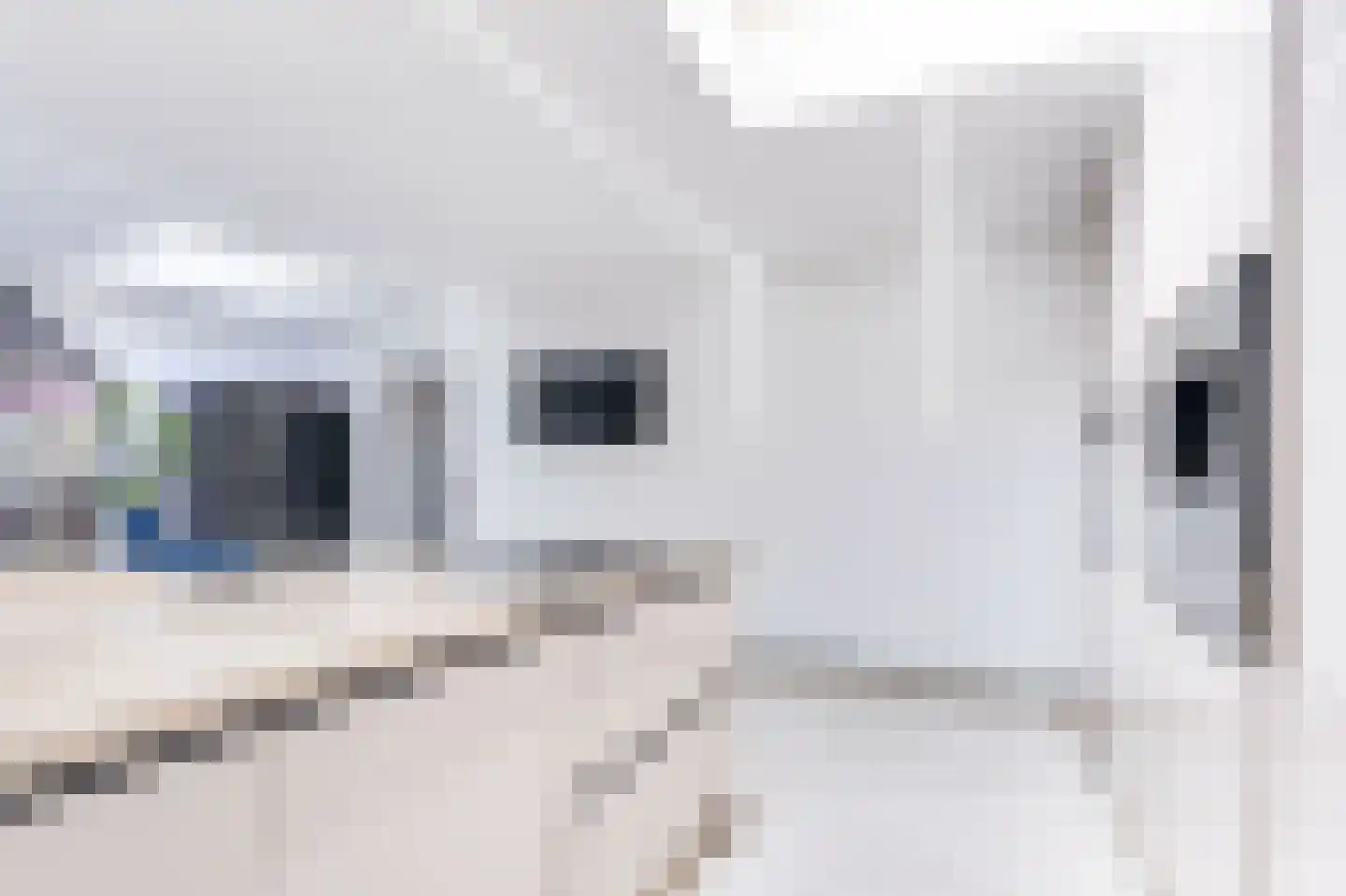 Scarlet Ducstraat 2 Andijk thumbnail 23