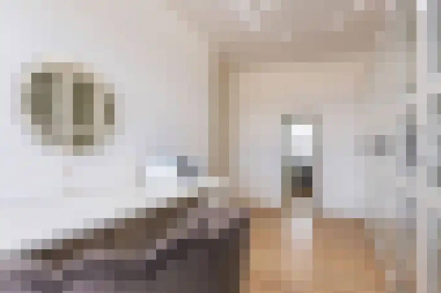 Scarlet Ducstraat 2 Andijk thumbnail 40