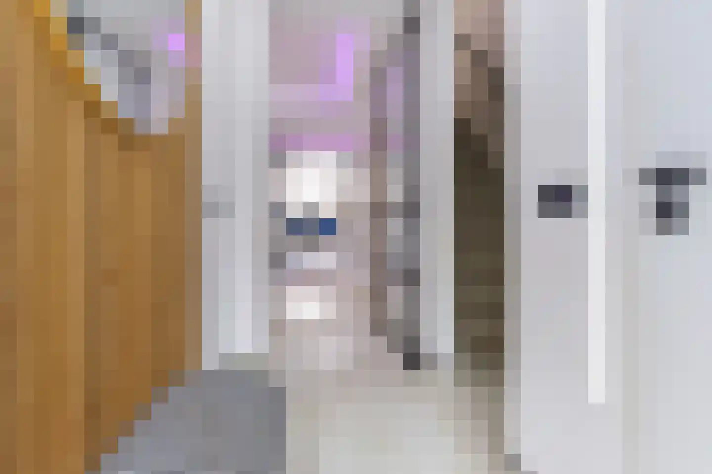 Scarlet Ducstraat 2 Andijk thumbnail 6