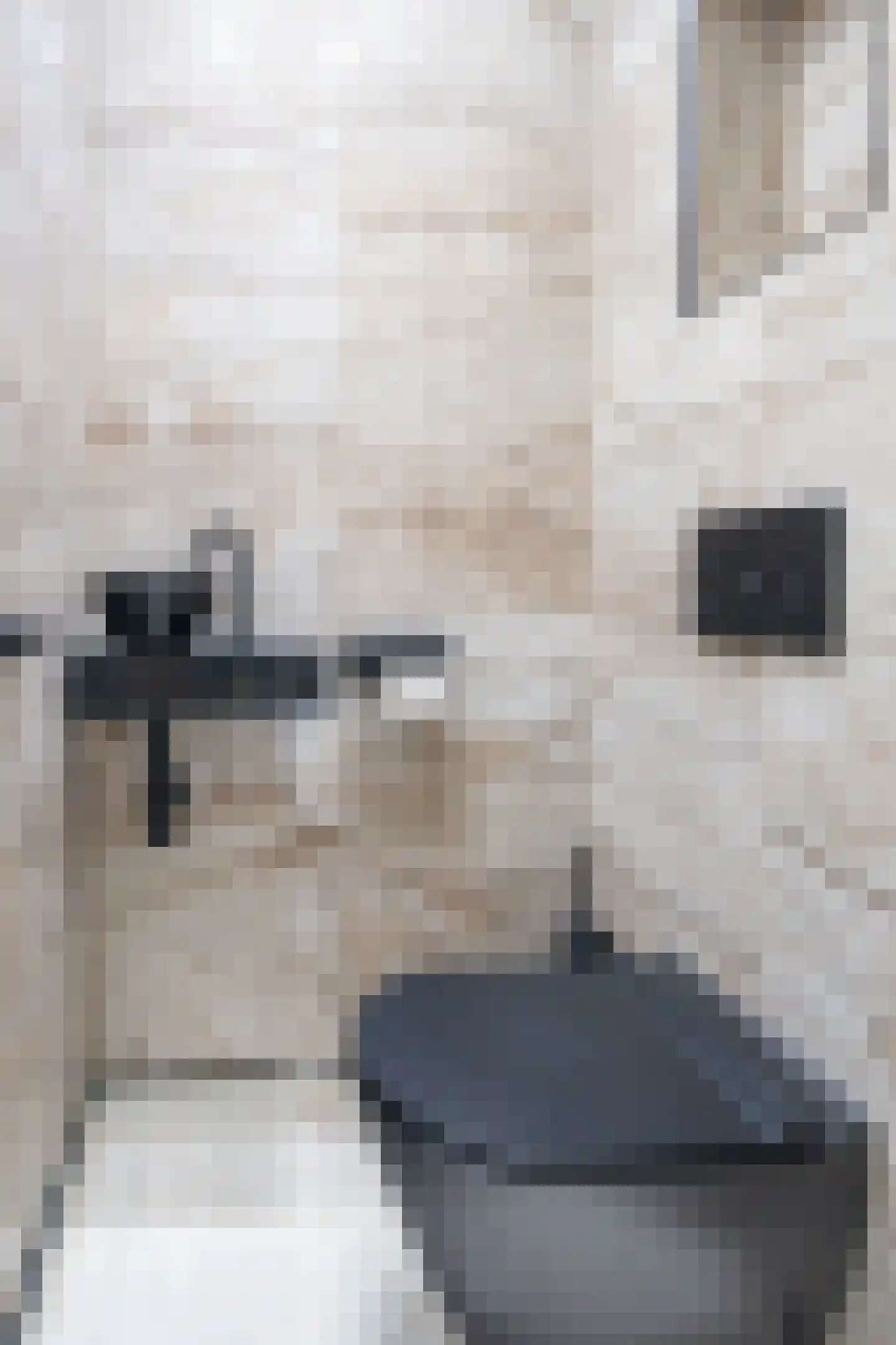 Scarlet Ducstraat 2 Andijk thumbnail 8