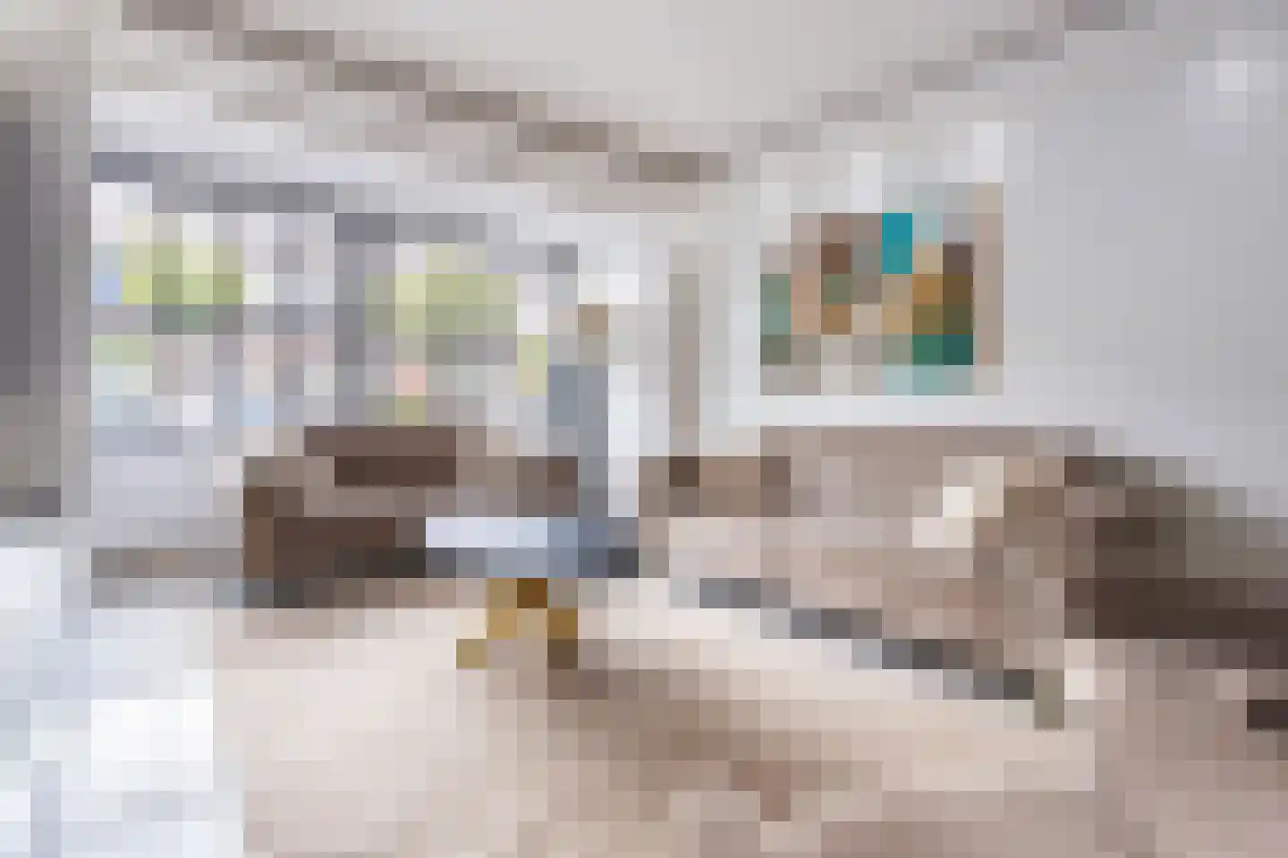 Scarlet Ducstraat 2 Andijk thumbnail 9