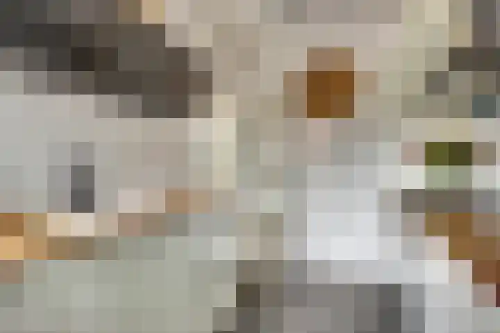 Scarlet Ducstraat 5 Andijk thumbnail 17