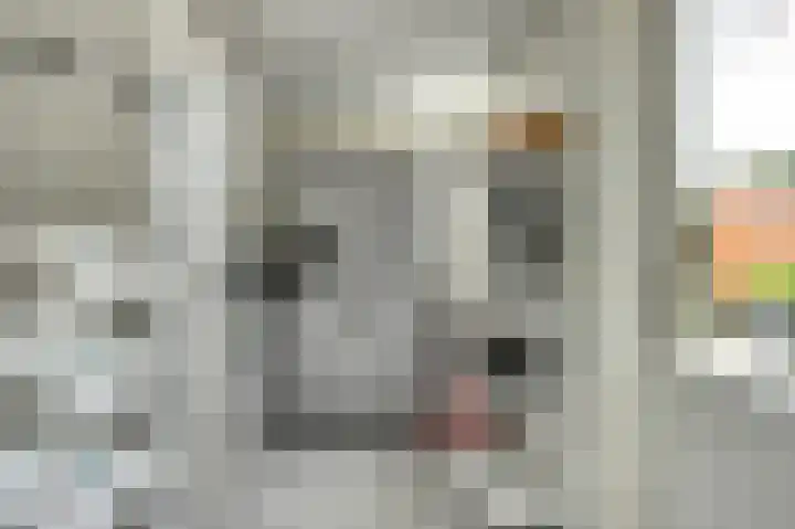 Scarlet Ducstraat 5 Andijk thumbnail 20