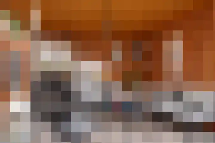 Scarlet Ducstraat 5 Andijk thumbnail 23