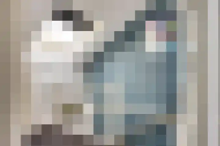 Scarlet Ducstraat 5 Andijk thumbnail 34