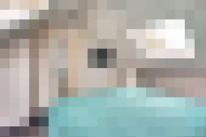 Scarlet Ducstraat 5 Andijk thumbnail 37