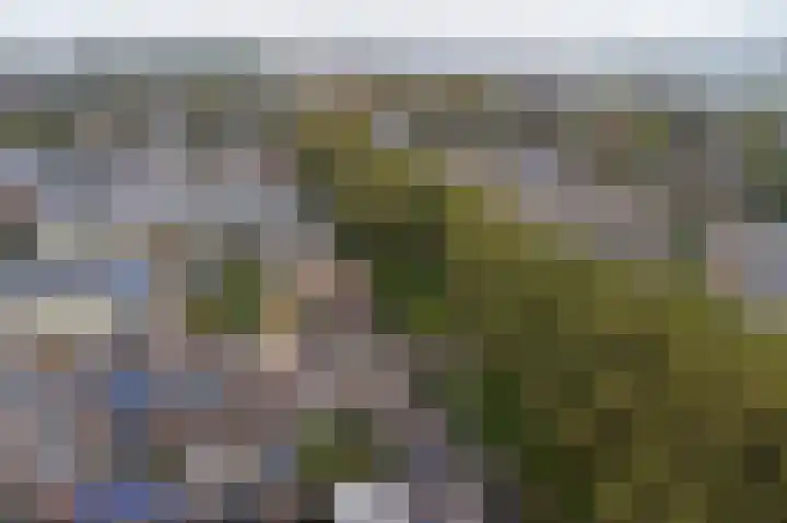 Scarlet Ducstraat 5 Andijk thumbnail 39