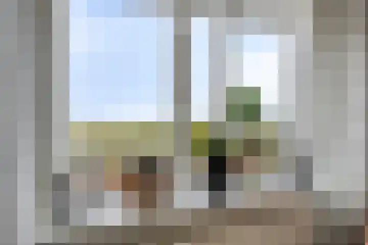 Scarpe Ee-laan 18 Scherpenisse thumbnail 11