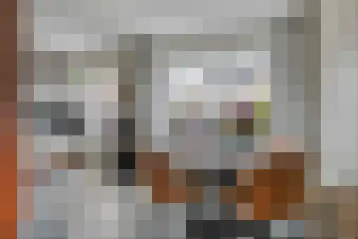 Scarpe Ee-laan 18 Scherpenisse thumbnail 14