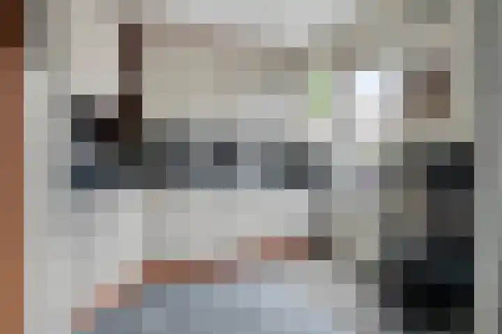 Scarpe Ee-laan 18 Scherpenisse thumbnail 19