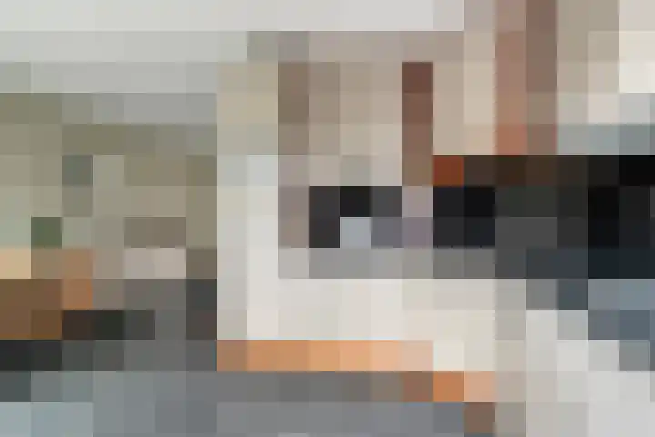 Scarpe Ee-laan 18 Scherpenisse thumbnail 21