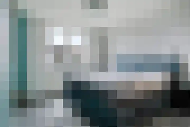 Scarpe Ee-laan 18 Scherpenisse thumbnail 26
