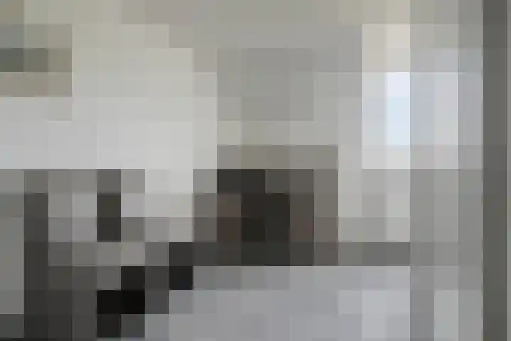 Scarpe Ee-laan 18 Scherpenisse thumbnail 29