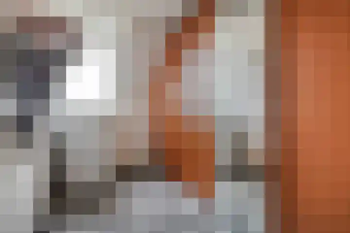 Scarpe Ee-laan 18 Scherpenisse thumbnail 32