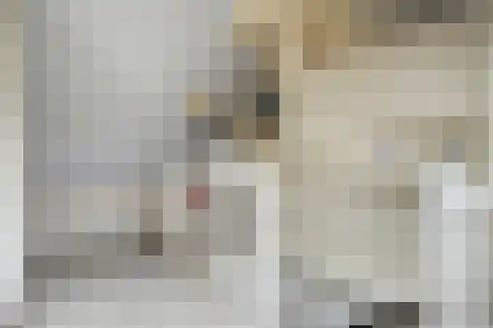 Scarpe Ee-laan 18 Scherpenisse thumbnail 37