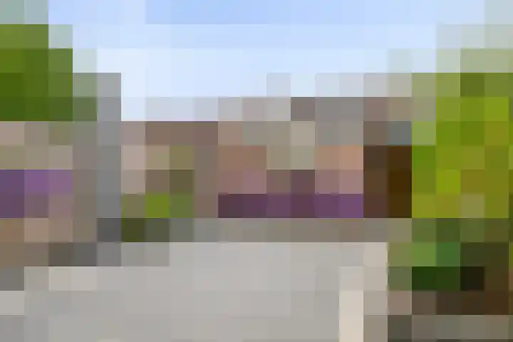 Scarpe Ee-laan 18 Scherpenisse thumbnail 42