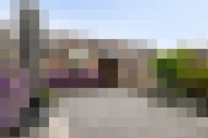 Scarpe Ee-laan 18 Scherpenisse thumbnail 43